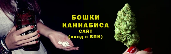 прущие грибы Нефтегорск