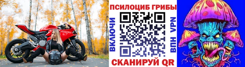 Псилоцибиновые грибы Cubensis  omg ССЫЛКА  Шимановск 